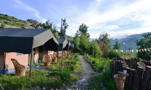 knaygoh kinner camps nako kinnaur nako