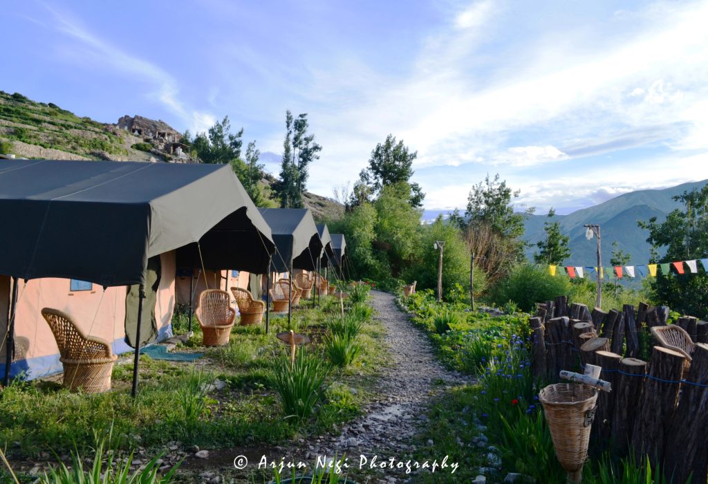 knaygoh kinner camps nako kinnaur nako